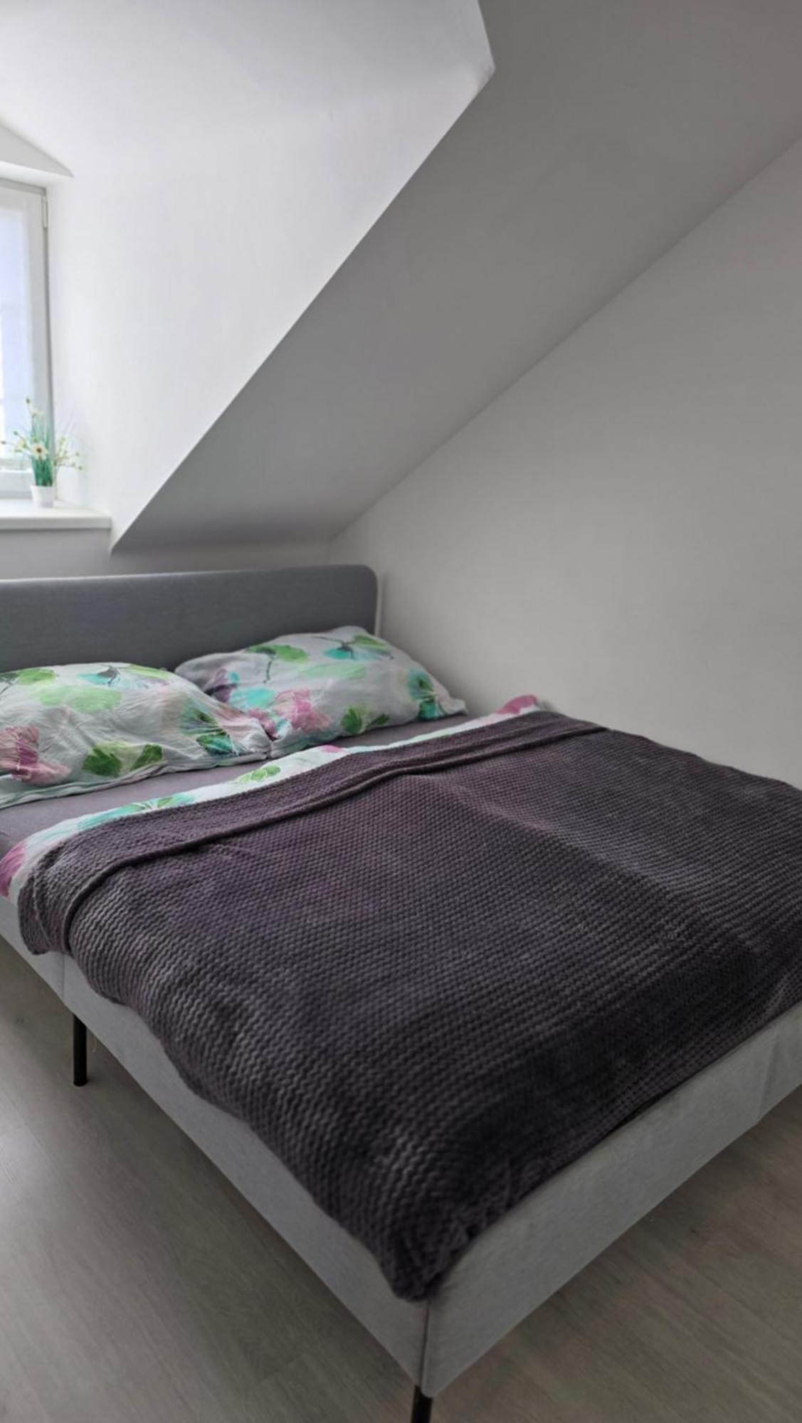 - Cafe Princ Pod Hradem Wifi, Klima Apartment Sternberk